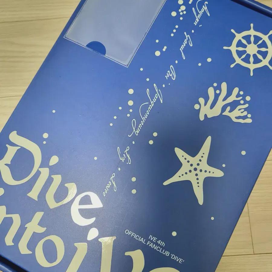 Foca Включение/Самая низкая цена) Комплект Ivedive 4 этапа